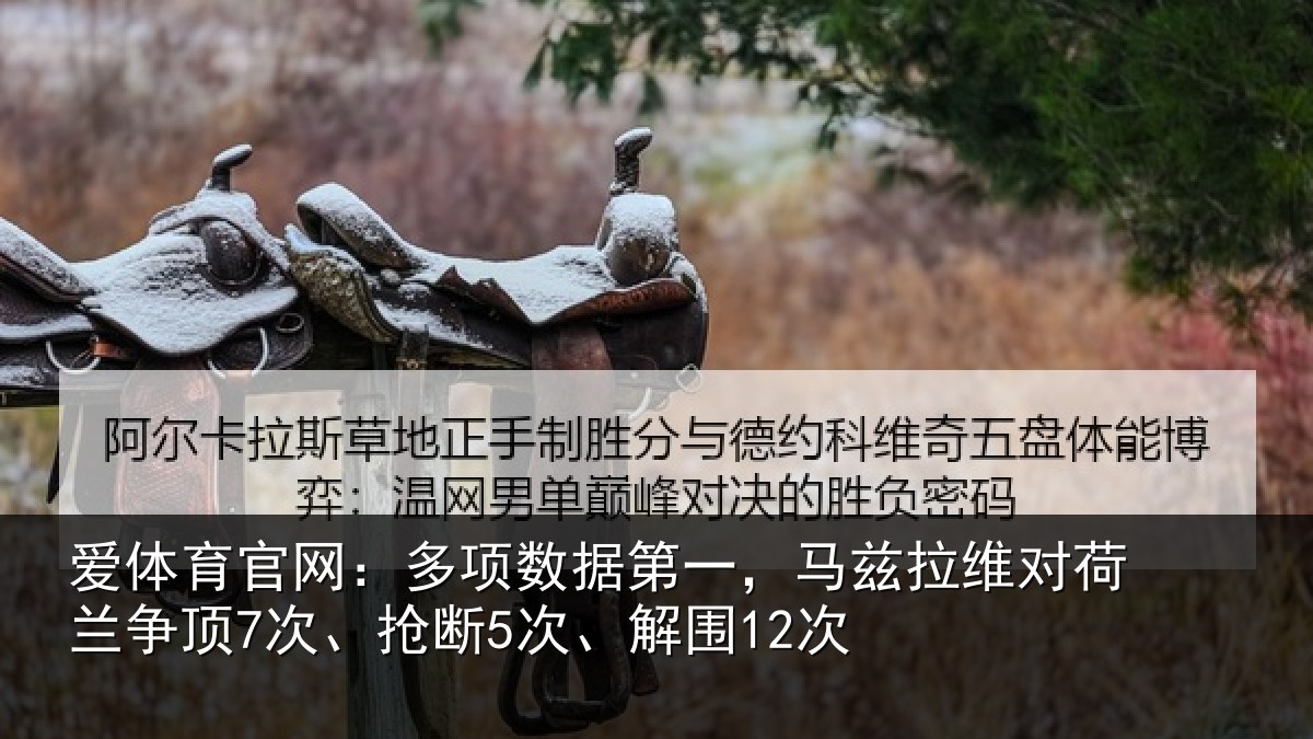 爱体育官网：多项数据第一，马兹拉维对荷兰争顶7次、抢断5次、解围12次
