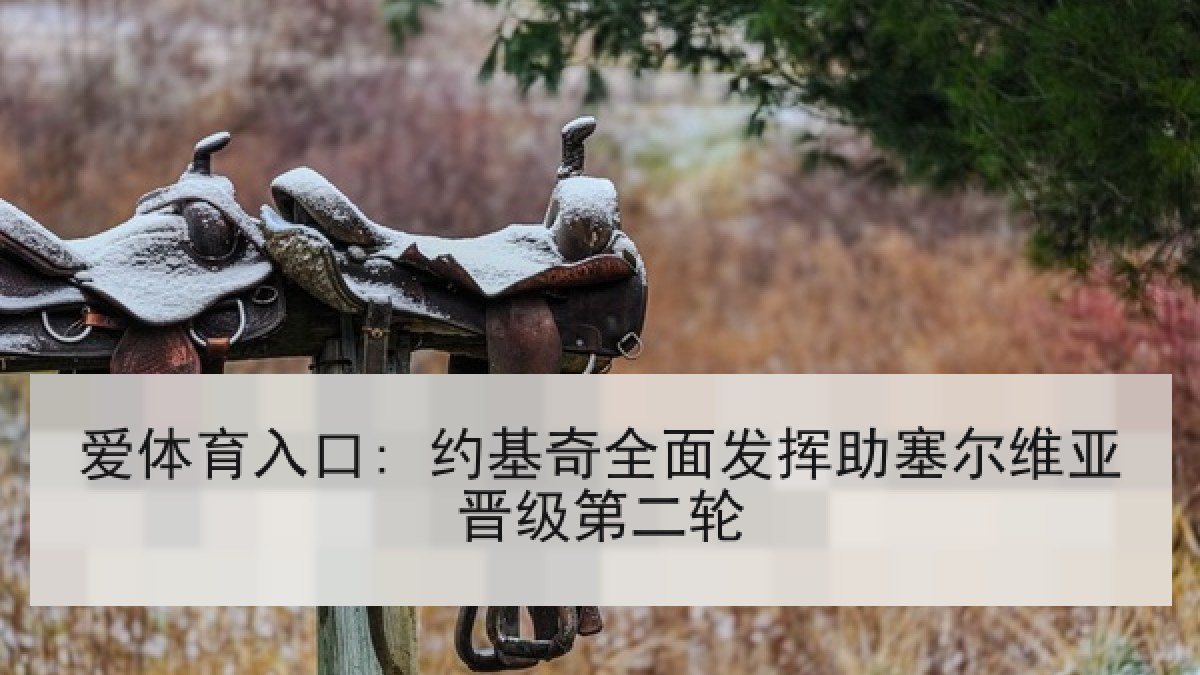 爱体育入口: 约基奇全面发挥助塞尔维亚晋级第二轮