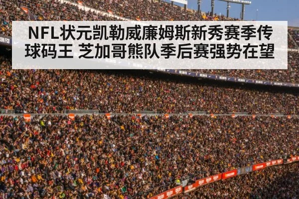 football stadium crowd